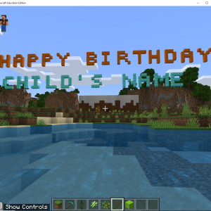 Minecraft Birthday Party